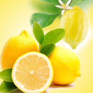 หัวน้ำหอม lemon 000162  ไม่เร่งเทรซ