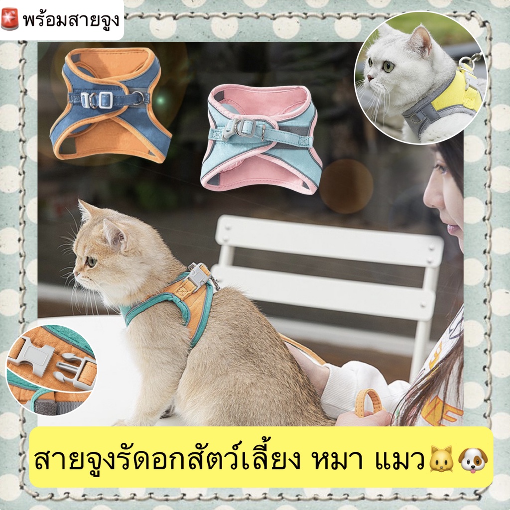 PP-377 สายจูงรัดอกสำหรับสัตว์เลี้ยง หมา แมว ดีไซน์ทูโทนสุดเก๋ เสื้อรัดอกนุ่มสบาย พร้อมปลอกคอในตัว ราคาประหยัด พร้อมส่ง