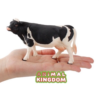 Animal Kingdom - โมเดลสัตว์ วัวโฮนสไตน์ฟรีเชี่ยน ดำ ขนาด 13.50 CM (จากหาดใหญ่)