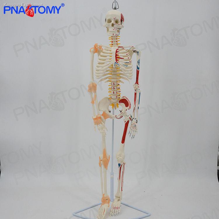 My Image 18