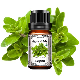 Marjoram USDA Organic Essential Oil น้ำมันหอมระเหย มาร์โจแรม ออร์แกนิค