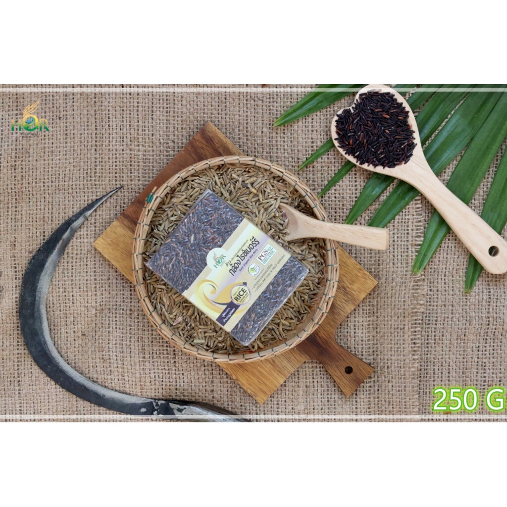 ข้าวไรซ์เบอรี่ 250 g ข้าวไรซ์เบอร์รี่ 250 g ข้าวไรซ์เบอรี่ปลอดสารเคมี 250 g ข้าวไรซ์เบอรี่เพื่อสุขภาพ 250 g ข้าวไรซ์เ...