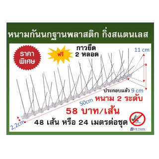 หนามกันนก หนามไล่นก หนามกันนกสแตนเลส bird spike อุปกรณ์ป้องกันนก  ชนิดปลายตัดเสมอ