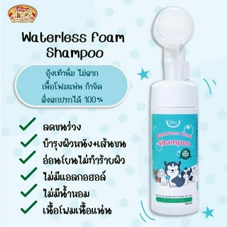 แชมพูโฟม สูตร Sensitive Care