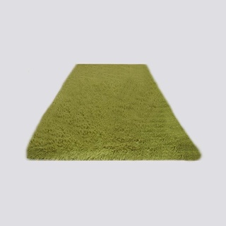 พรมปูพื้นห้อง 120x160cm สีเขียว พรมเช็ดเท้า Carpet, room floor 120x160cm, green