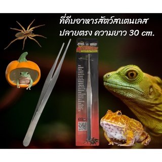 ที่คีบให้อาหารสัตว์สเเตนเลสกบฮอร์นฟรอก กิ้งก่า แมงมุม สัตว์เลื้อยคลาน forcep Reptile ฟอร์เซปปากคีบ 30 cm.