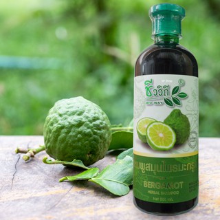 แชมพูมะกรูด (ชีววิถี) BERGAMOT HERBAL SHAMPOO Net.500 ml.