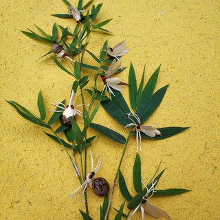 Palm Leaf Insect Magnet แม่เหล็กแมลงใบลาน