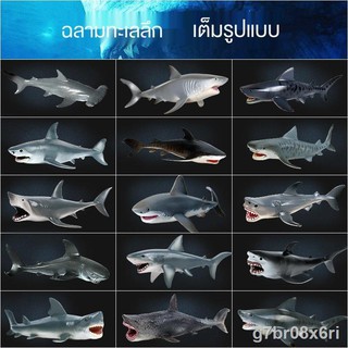 ของเล่นจำลอง☈♀เด็กจำลองสัตว์ทะเลของเล่นโมเดลใหม่ megalodon ฉลามขาวเสือฉลามนักฆ่าฉลามวาฬฉลามพลาสติกเครื่องประดับ