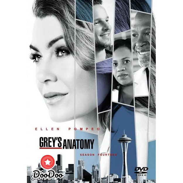Grey's anatomy Season 14 แพทย์มือใหม่หัวใจเกินร้อย ปี 14 (24 ตอนจบ) [ซับไทย] DVD 6 แผ่น