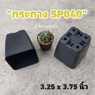 กระถาง SP040 // กด 12 ใบ 50 บาท 3.25 นิ้ว ไม่มีขอบ -- กระถางพลาสติก กระถางแคคตัส กระบองเพชร