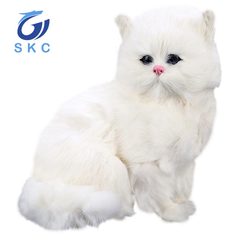 ตุ๊กตาแมวเปอร์เซียสีขาว m 8th – โปรปัง