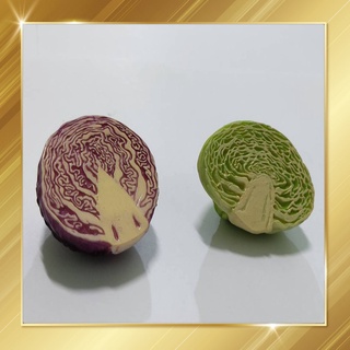 แม่เหล็กติดตู้เย็น Vegetable Magnets - รูป กะหล่ำปลี 3 มิติ