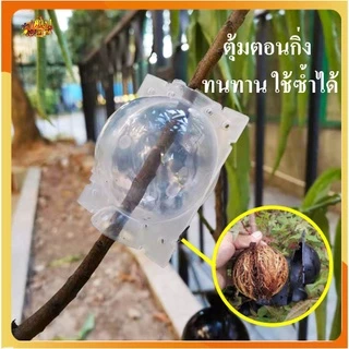 ✅ ถูกสุดในไทย✅ ตุ้มตอนกิ่ง ตุ้มตอนพลาสติก ขยายพันธุ์พืช ตอนกิ่ง ตอนต้นไม้ ใช้ซ้ำได้