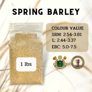 Spring Barley Pale Ale (Thomas Fawcett)(5 Kg)