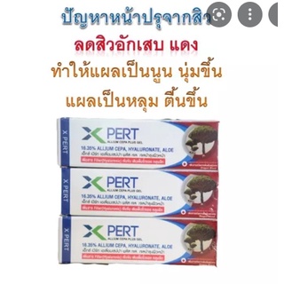 มีเลือดมังกร-X PERT ALLIUM CEPA PLUS GEL ขนาด 10g เจลลดรอยแผลเป็น รอยดำ รอยแดง หลุมสิว