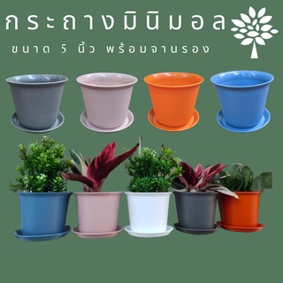 ( E4VGH56 ลดสูงสุด 60.- )กระถาง 5 นิ้ว ต้นไม้ สี พาสเทล พร้อม จานรอง ลอน กระถาง ญาญ่า ดอกไม้ กระถางเกลียว พลาสติก