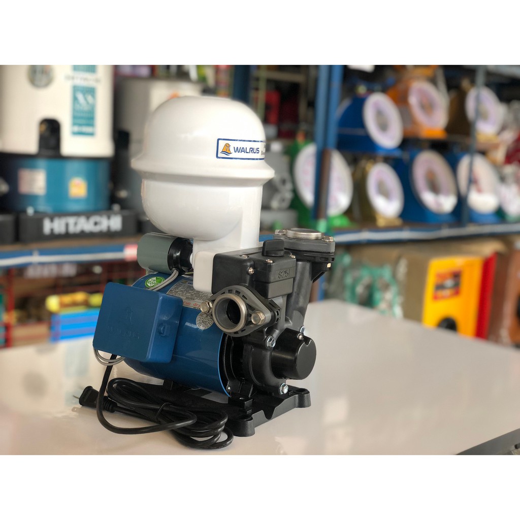 ปั้มน้ำอัตโนมัติ WALRUS TP825P (370W) ขนาด 1 นิ้ว ปั้มน้ำ ปั้มออโต้ ปั้มเปลือยอัตโนมัติ  แมวน้ำ วอรั