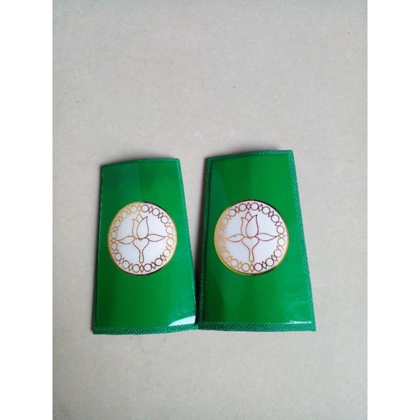 PASKIBRA RANK//TAITER PASKIBRA//SCOUT RANK