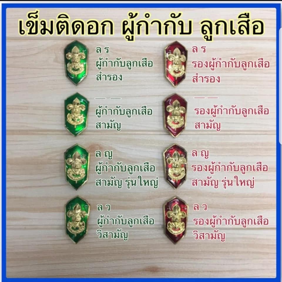 เข็มติดอก ผู้กำกับลูกเสือสามัญรุ่นใหญ่ (ล.ญ) | Shopee Thailand