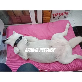 มีลายเข้าใหม่แพรใหญ่ รับน้ำหนักได้ถึง50KG+ ที่นอนหมา ที่นอนเเมว ที่นอนสุนัข ที่นอนสัตว์เลี้ยง วัสดุใยสังเคราะห์พรีเมี่ยม