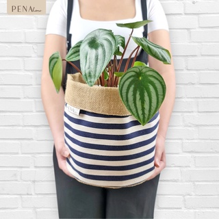 Pena Home :  PLANT POT COVER กระถางต้นไม้ สีน้ำเงินลายริ้ว รุ่น 7PAS0014-7PAXL0014