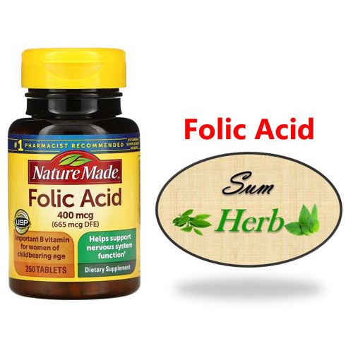 (พร้อมส่ง) Nature Made Folic Acid -- 400 mcg - 250 Tablets. วิตามินบี 9 กรดโฟลิก สร้างเม็ดเลือดแดง การแบ่งตัวของเซลล์