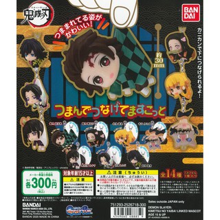 Gashapon Kimetsu no Yaiba Demon Slayer Tsumande Tsunagete Mascot กาชาปองดาบพิฆาตอสูร