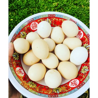 ไข่ไก่ดำสดแพ็คละ 6ใบ เลี้ยงแบบออแกร์นิค สำหรับนำไปปรุงอาหาร