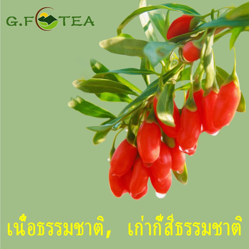 รูปภาพ 6