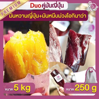 แพ็คคู่ถูกกว่า มันหวานญี่ปุ่น เบนิฮารุกะ 5kg + มันหนึบ โอกินาว่า 250g  มันหวานญี่ปุ่นนำเข้า มันหนึบม่วง