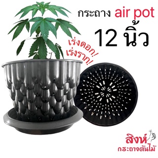 กระถางเร่งราก  air pot 12 นิ้ว กระถาง 12 นิ้ว สีดำ สีขาว สีใส