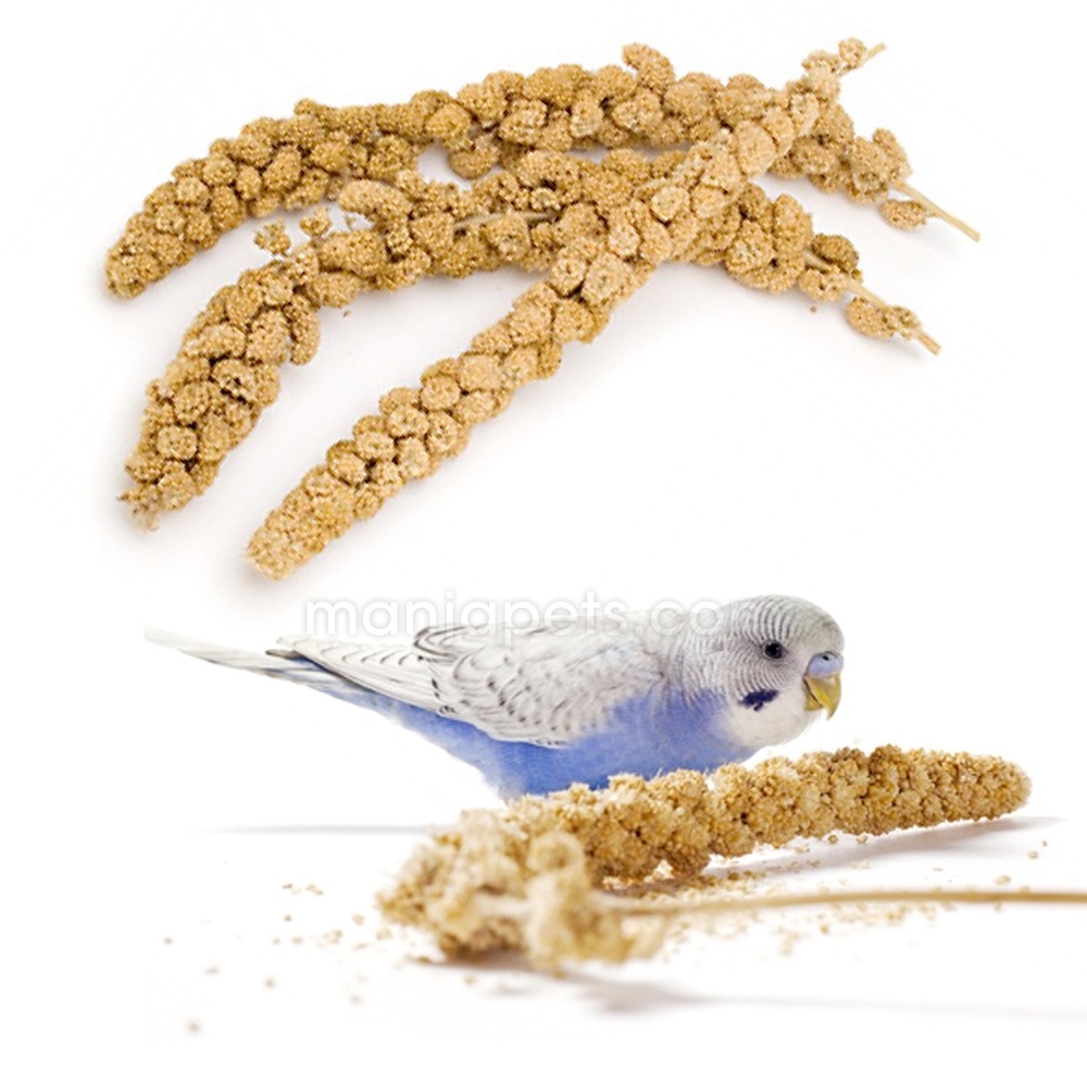Emas 10 Gaiety Spray Millets 200gm - (3155)