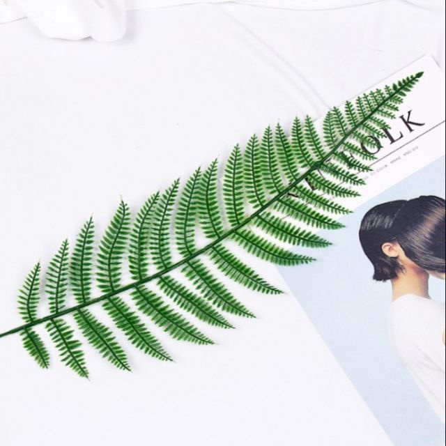 พร้อมส่ง！！ Leaf 🌿 ใบเฟิร์น ใบไม้ตกแต่ง สำหรับถ่ายรูป อุปกรณ์ประกอบฉาก พร๊อพถ่ายรูป พร๊อพถ่ายภาพสินค้