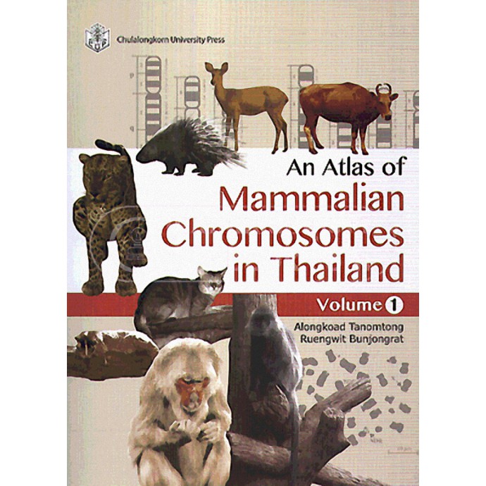 An Atlas of Mammalian Chromosomes in Thailand Volume 1