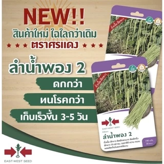 【ซื้อ 5 แถม 5 ฟร】🔥GGEW เมล็ดพันธุ์ ถั่วฝักยาว ลำน้ำพอง2 100 เมล็ด ตราศรแดง