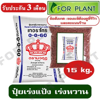 ปุ๋ย สูตร 0-0-60 ตรามงกุฎ บรรจุ 15 กิโลกรัม ปุ๋ยเร่งแป้ง เร่งหวาน ใส่ผัก ผลไม้ ไม้ดอกไม้ประดับ