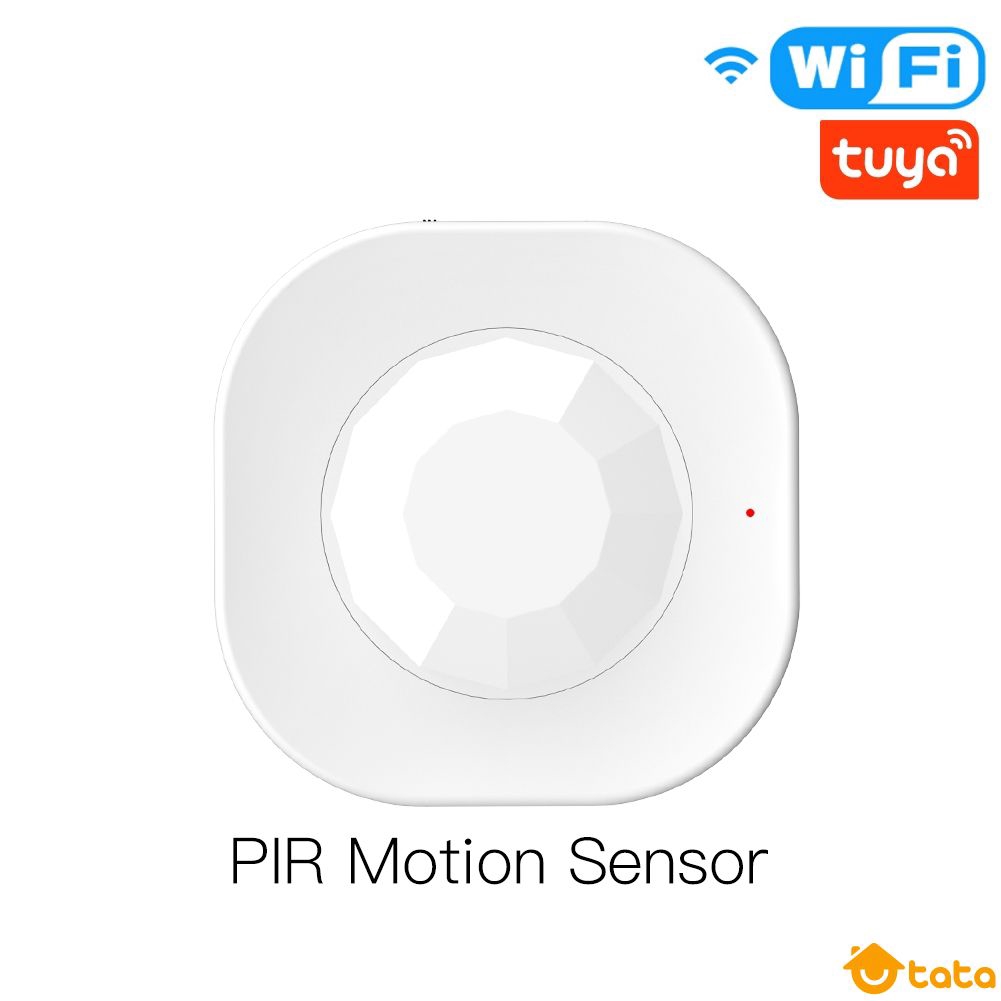 motion detector google home