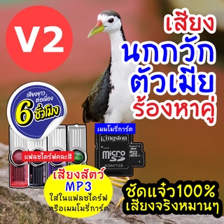 (MP3 เสียงต่อสัตว์) เสียงนกกวักตัวเมีย V.2 [6ชั่วโมง] ใส่แฟลชไดร์ฟ/เมม มีเก็บเงินปลายทาง เสียงดี ชัด100% ไม่มีโฆษณาแทรก