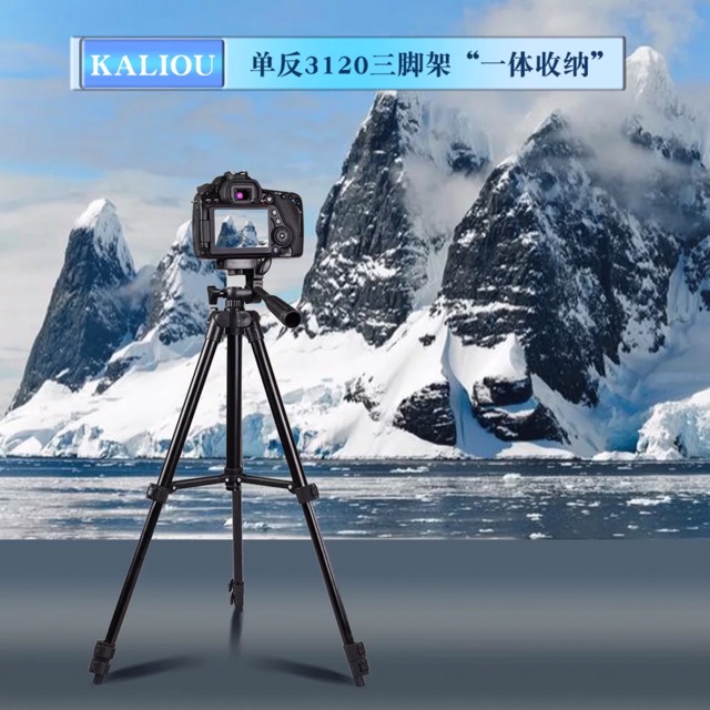 ￼ขาตั้งกล้องถ่ายรูปและโทรศัพท์มือถือขนาดพกพารุ่น TF-3110 ขาตั้ง 3 ขา Cellphone and Camera Tripod
