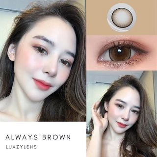 คอนแทคเลนส์🌈Always🌈 Brown / Gray (Luxzylens) ขนาดบิ๊กอาย💖