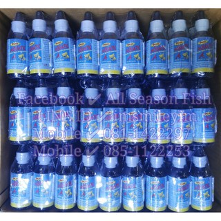 60 ml. (Aquatic A Plus) กำจัดเชื้อโรค จุดขาว โรคเน่าเปื่อย ซึม เบื่ออาหาร