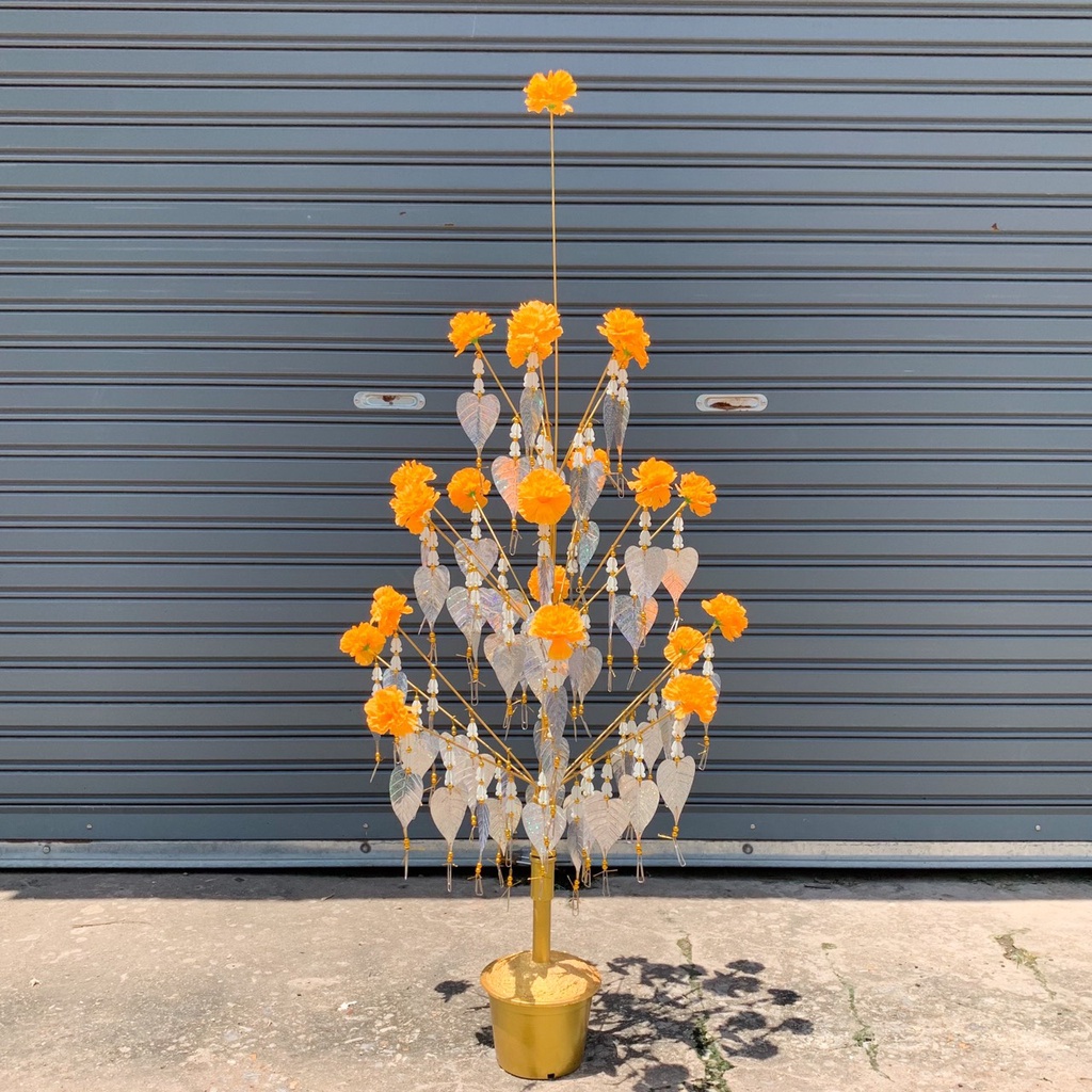 My Image 68