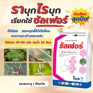 ซัลเฟอร์ – ซัลเฟอร์ 80% WG ใช้ป้องกันกำจัดโรคราแป้ง และ ไรแดง ขนาดบรรจุ 1 กิโลกรัม ✅ สินค้าผลิตใหม่ ของแท้แน่นอน 💯