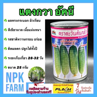 แตงกวา อัคนี ขนาด 25 กรัม ตะวันต้นกล้า ลอตใหม่ งอกดี ผลทรงกระบอก ผิวเรียบ หนามน้อย สีขาวนวล เนื้อแน่น กรอบและไส้ผลเล็ก