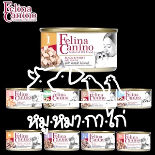 Felina Canino เฟลินา คานิโน อาหารกระป๋องสำหรับแมว เกรดพรีเมียม(ขนาด70กรัม)