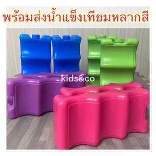 พร้อมส่ง น้ำแข็งเทียม ไอซ์แพค icepack สำหรับใช้คู่กับกระเป๋าเก็บความเย็น