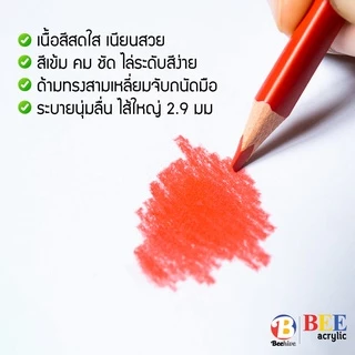 [ยกกระปุก 50 แท่ง] ดินสอสี สีไม้ Beehive แท่งยาว ด้ามจับสามเหลี่ยม สดเข้ม ระบายง่าย