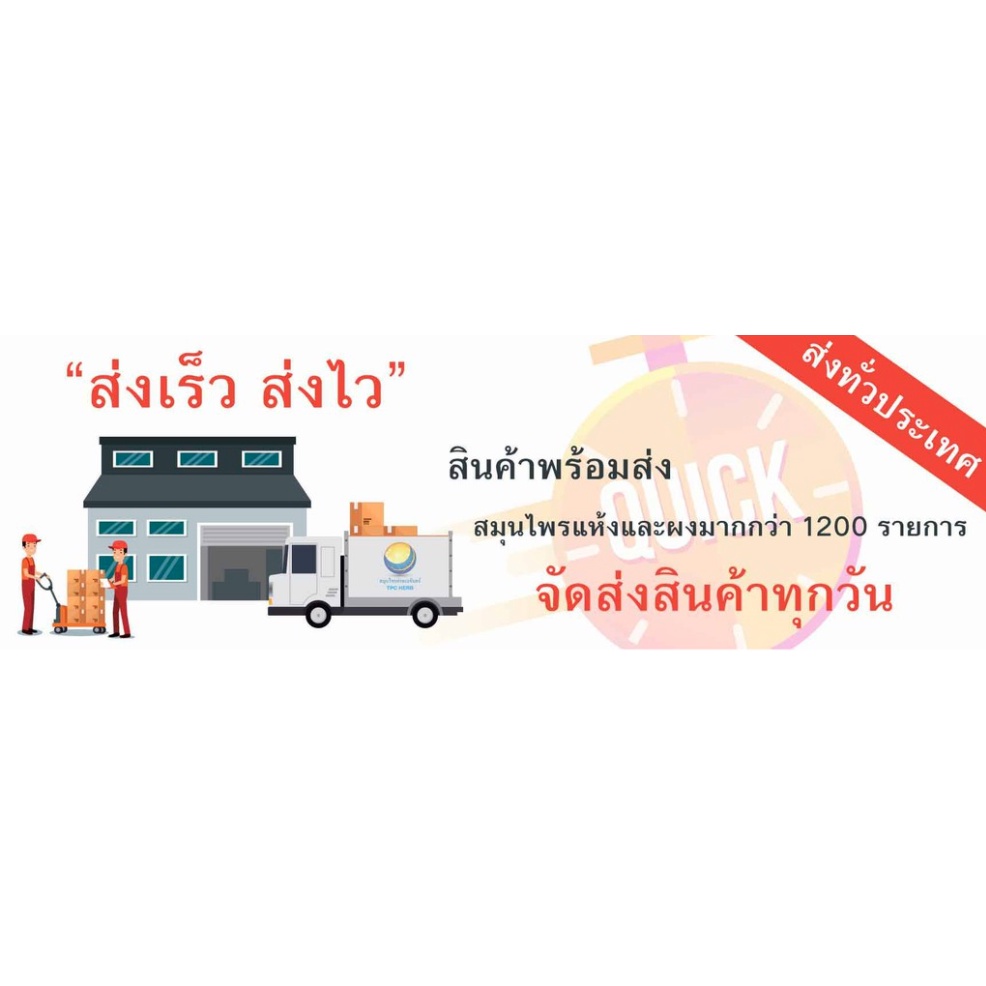 ทองพันชั่งผง ทองพันชั่งแห้ง ทองพันชั่ง