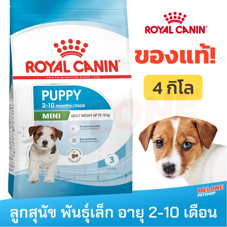 Royal Canin Mini Puppy รอยัลคานิน สุนัขลูกสุนัข พันธุ์เล็ก อายุ 2 - 10 เดือน ขนาด 4kg